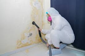 Why You Should Choose Our Mold Remediation Services in Acalanes Ridge, CA